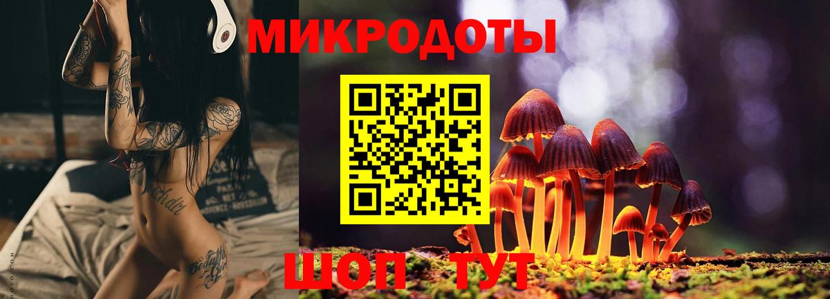Галлюциногенные грибы Magic Shrooms Зима
